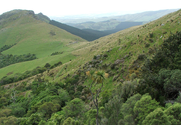  The Packhorse Hut is way back there on the saddle... 