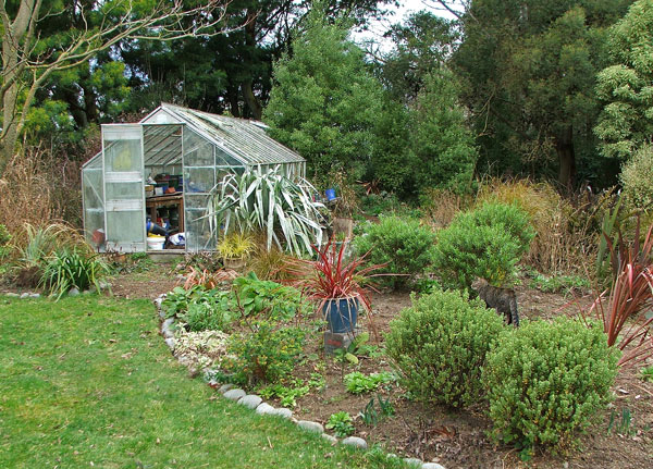  You can see Histeria the tabby in the garden. 