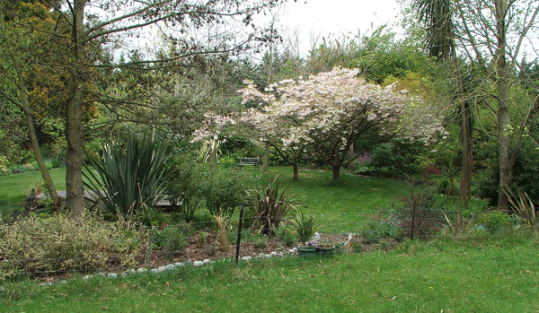  This photograph is taken standing in the ram paddock. 