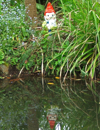  Robert by the pond. 