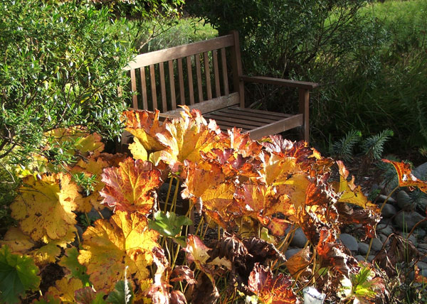  A delightful seat in which to sit and dream... 