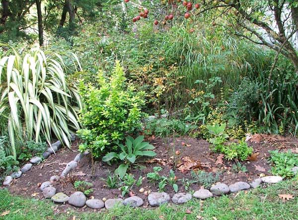  The garden is organised! 