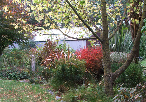  This is the back of the Dog-Path Garden. 
