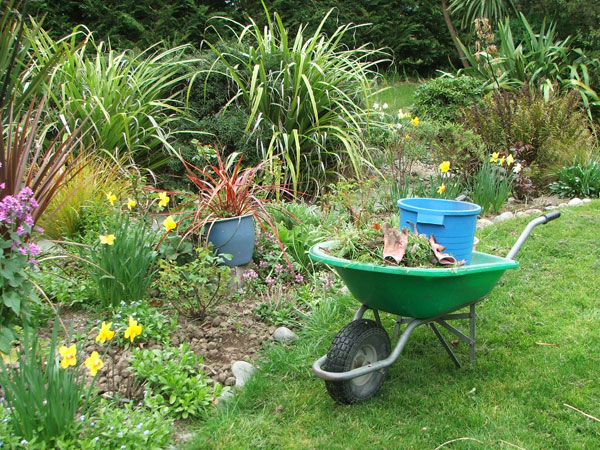  This is the Glass-House Garden. 