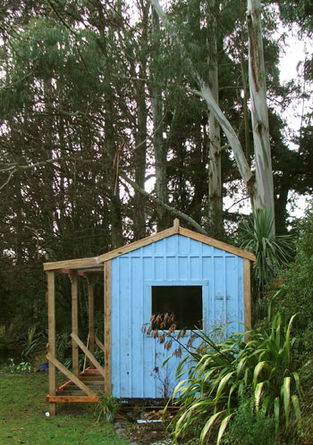  Another shed view - from the side showing the loooovely blue wall... 