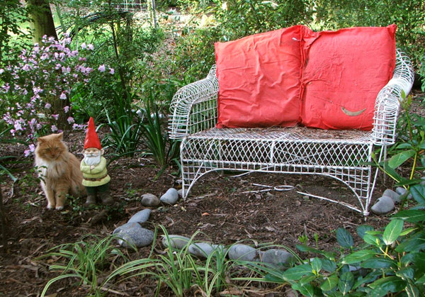  That is my groovy white wire seat, behind the pond. 
