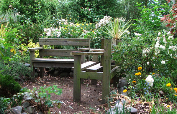  Roses surround the rustic garden benches. 