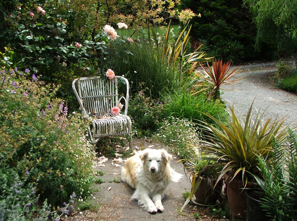  Posing by the white cane seat. 