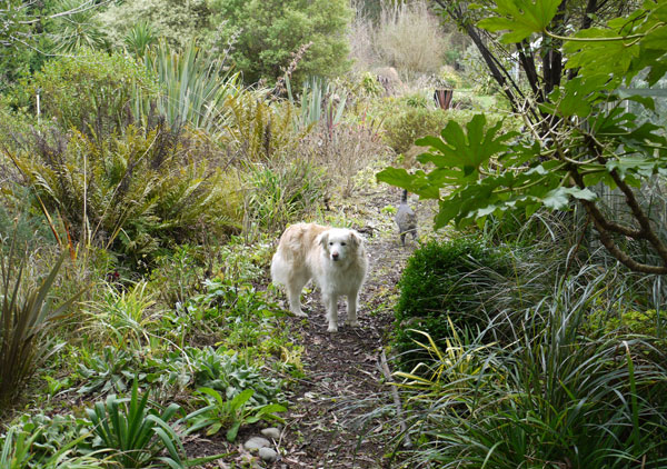  My trusty helper. 