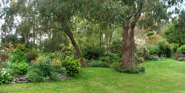  The Shrubbery sits behind the stone wall. 