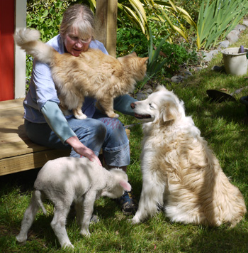  That's Fluff-Fluff the cat, Rusty the dog, and Stu lamb. 