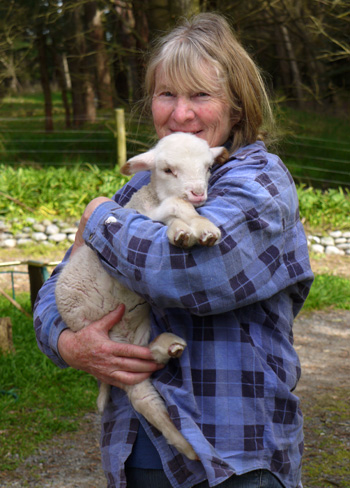  A cuddly lamb. 