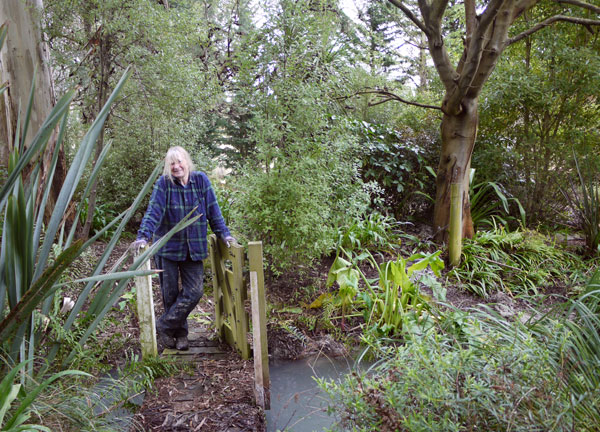  Half way through my winter clean-up in 2010. 