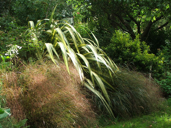  Photographed in the late afternoon sun. 