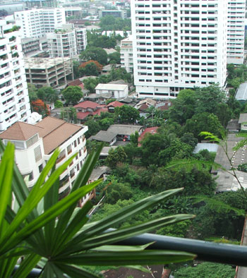  View from the balcony, looking down (obviously!)... 