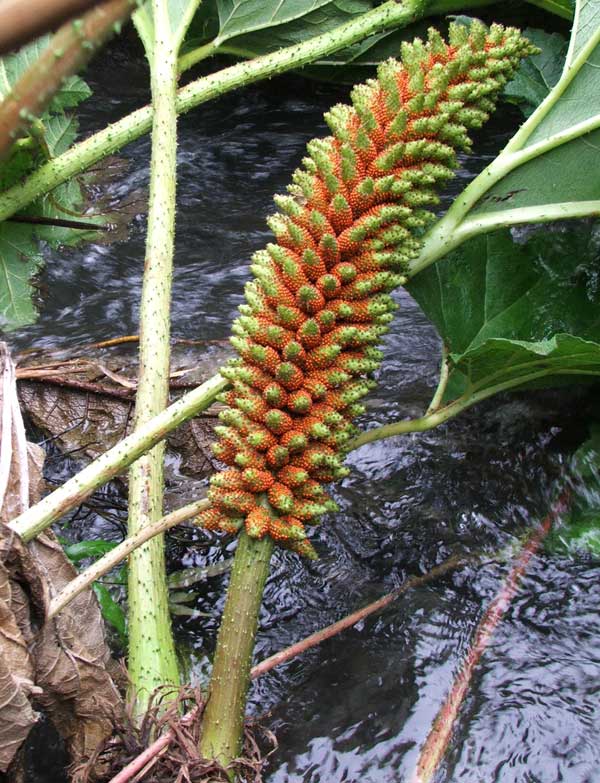  A most unusual garden water feature... 