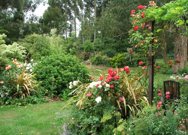  Love those patio roses! 