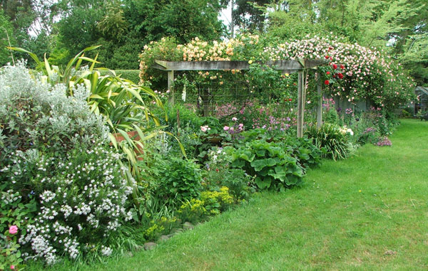  With a flowering Hebe in the foreground. 