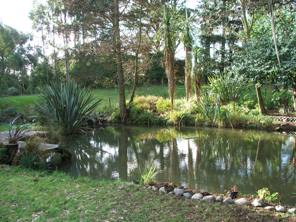  This is the view from the verandah of Pond Cottage. 