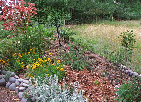  Horse manure, rotting hay, and hedge shreddings. 