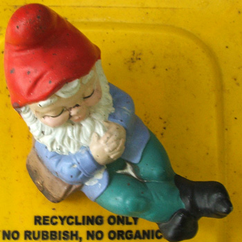  Caught napping on one of the recycle bins. 