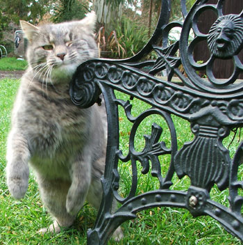  Smooching the end of my latest garden bench. 