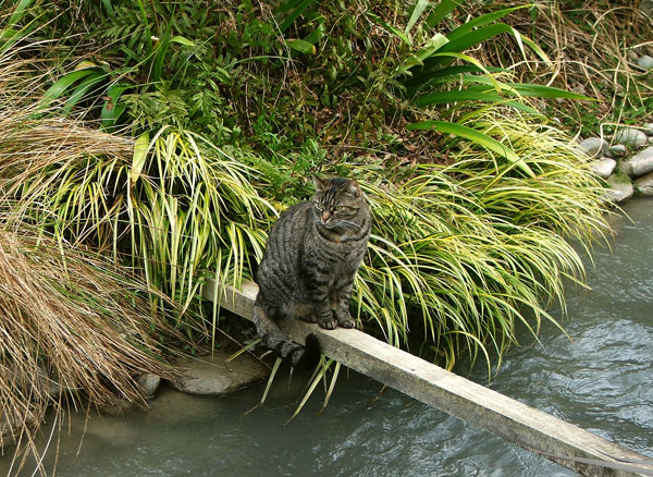  Sitting on the Plank over the water race. 