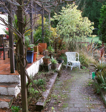  Tidier, though - and the catmint is trimmed! 