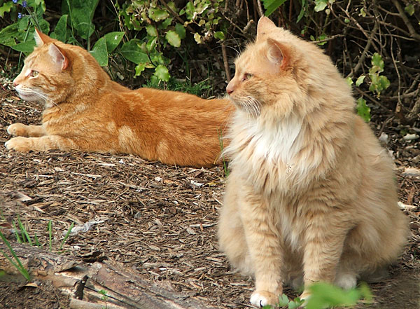  What on earth are they staring at? 