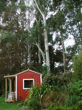  Underneath the towering gum trees. 