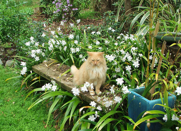  In the irises. 