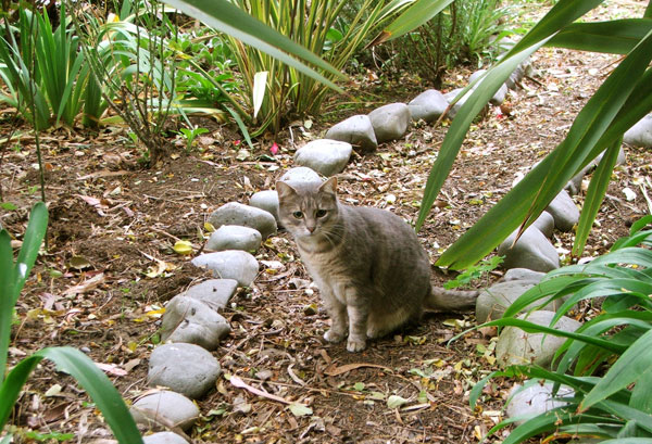  Wide eyed and alert. 