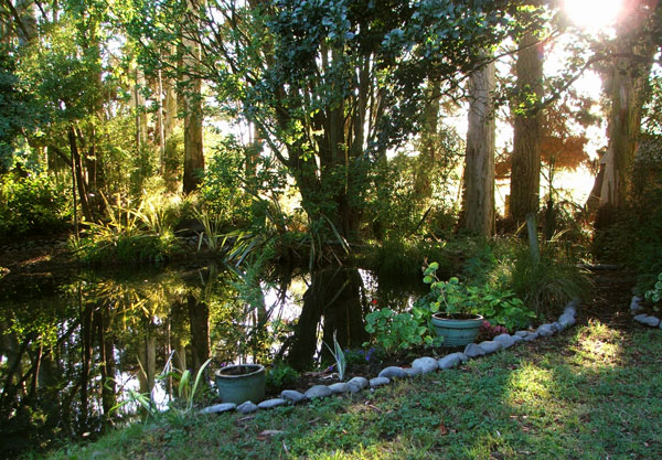  This is my early morning view from the cottage - when it's sunny. 