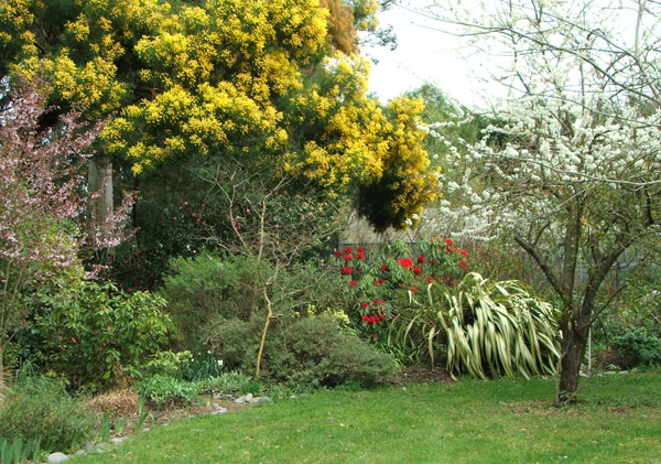  The view from one of Pond Cottage