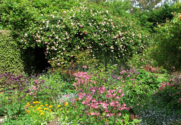  The garden on the other side of the pergola. 