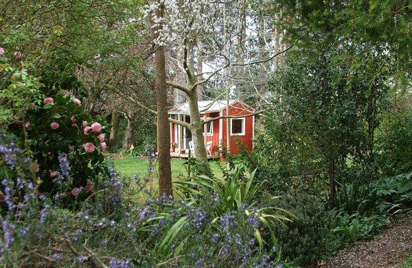  View from the Laundry path, peeping throught the Rosemary. 