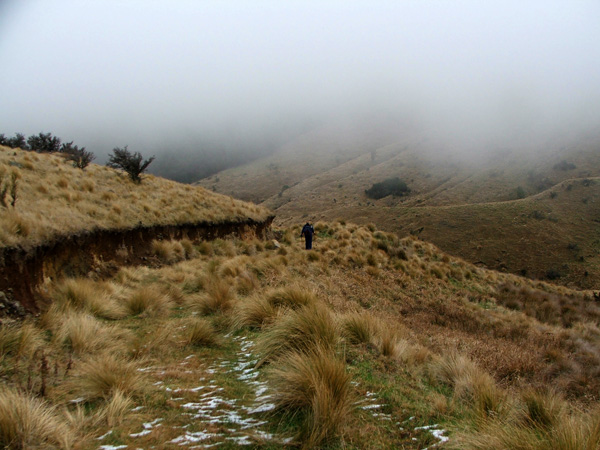  Down the farm track above Washpen Falls. 