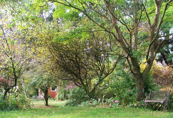  Taken from the Glass-House Garden. 