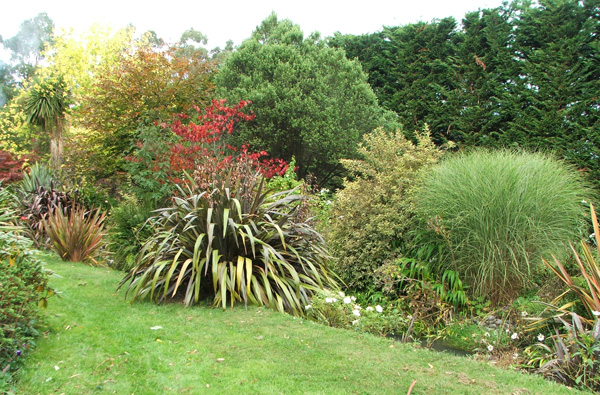  Trees changing colour. 