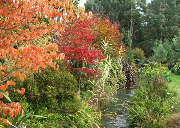  The irrigation canal that runs right through my garden. 