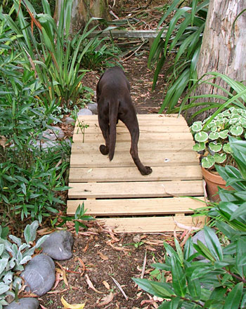  On one of the new Wattle Woods bridges. 