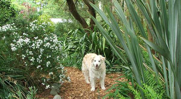  Rusty loves gardening. Oh, does he? 