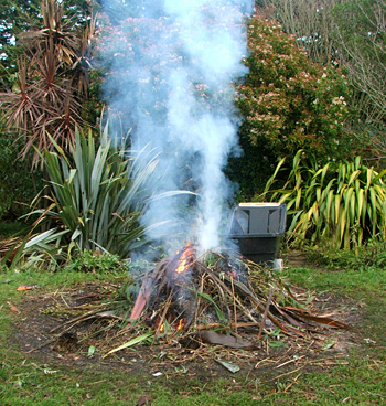  The leaves can't be composted or shredded. 