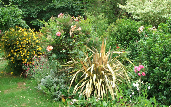  With the yellow Hypericum flowering. 