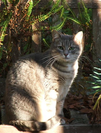  She lives in Pond Cottage. 