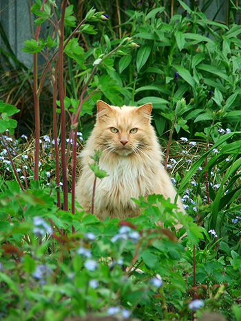  Posing in the garden. 