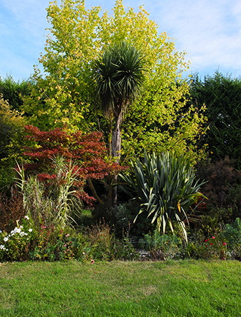  With cabbage trees and flaxes. 