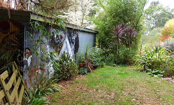  Red Cordylines and green shrubs galore. 