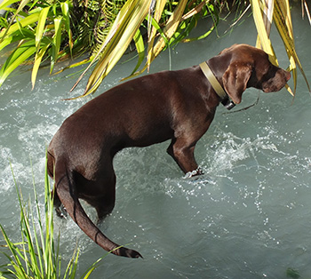  In the water race. 