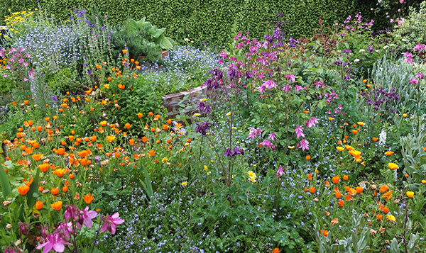  Flowery flowers! 